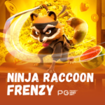 Ninja Raccoon Frenzy